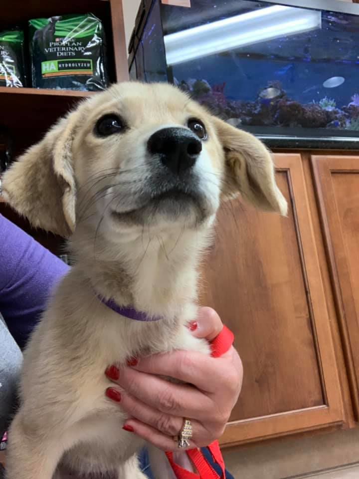 bella2